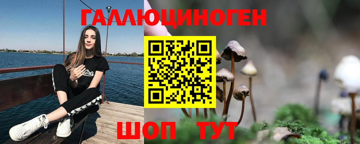 Псилоцибиновые грибы Cubensis Зеленокумск