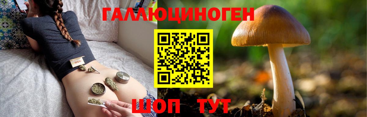 Зеленокумск  закладки  Галлюциногенные грибы мицелий  Вход с VPN  Псилоцибиновые грибы GOLDEN TEACHER 